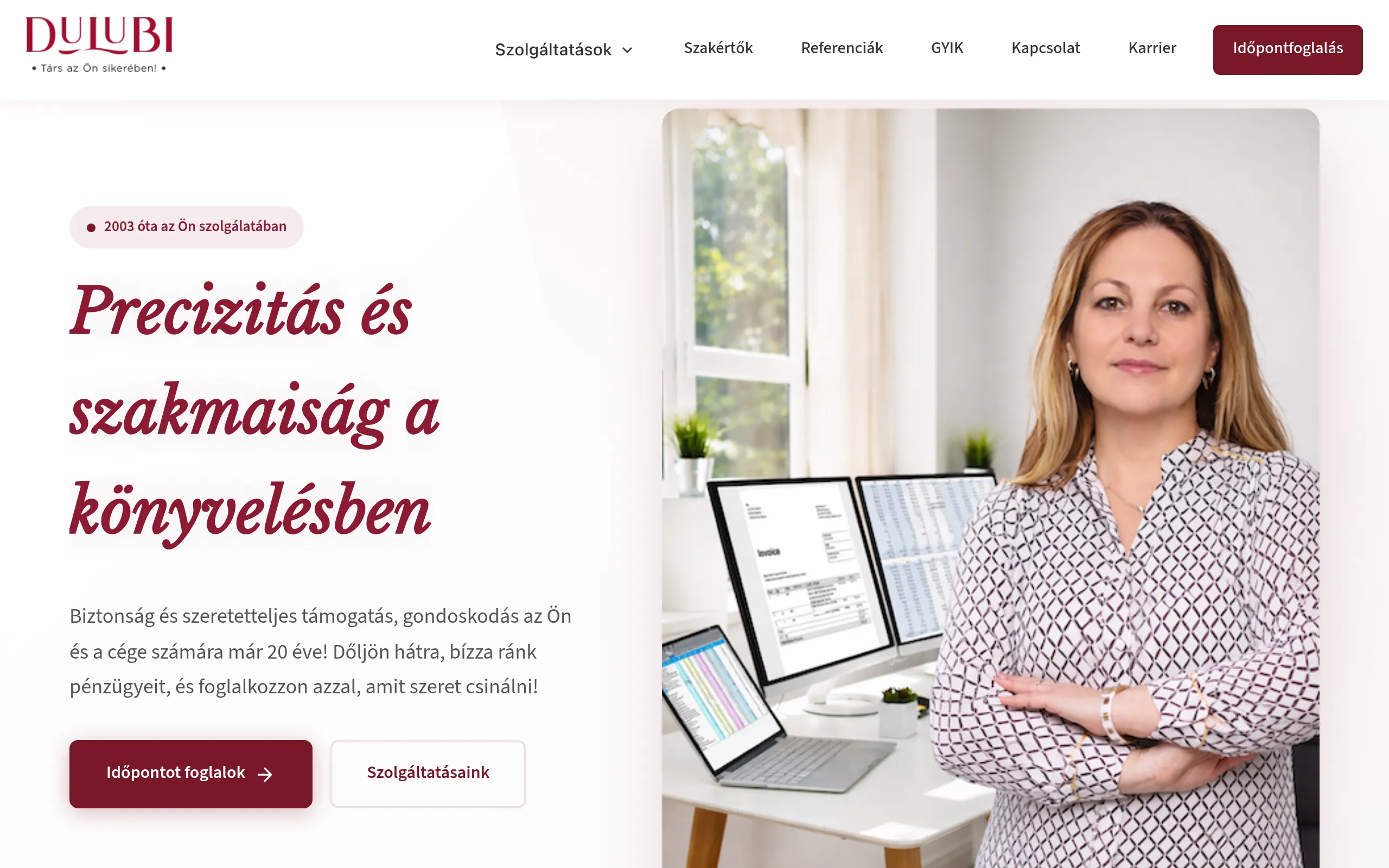 Dulubi Accounting - Professional services website screenshot